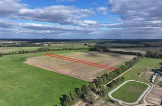 Gewerbeimmobilie kaufen in 14547 Beelitz, Acker (ca. 1 ha) bei Beelitz für Jedermann