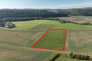 Gewerbeimmobilie kaufen in 98667 Schönbrunn, Acker (ca. 1,3 ha) bei Schleusingen