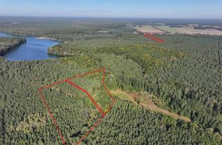 Gewerbeimmobilie kaufen in 17268 Templin, Kiefernmischwald (ca. 5 ha) im Landkreis Uckermark bei Templin
