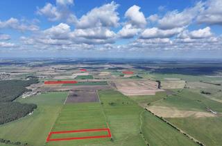 Gewerbeimmobilie kaufen in 39524 Wust, Acker + Grünland in der schönen Altmarkt - ca. 12 ha zwischen Stendal und Genthin zu verkaufen!