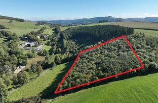Gewerbeimmobilie kaufen in 59939 Olsberg, Zukunfts-Nadel-Laubmischwald (ca. 1,2 ha) bei Elpe im Hochsauerlandkreis