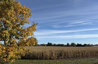 Gewerbeimmobilie kaufen in 16792 Zehdenick, Mehr als 5 ha Ackerfläche bei Zehdenick - LK Oberhavel - 60 km nördlich von Berlin zu verkaufen