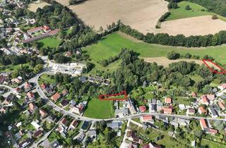 Gewerbeimmobilie kaufen in 01877 Demitz-Thumitz, Kompakte Wiesenflächen für Jedermann zw. Bautzen und Bischofswerda in Demitz-Thumitz