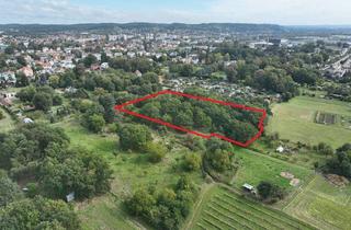 Gewerbeimmobilie kaufen in 01640 Coswig, Eichenwald als Erstaufforstung (ca. 0,9 ha) in Coswig bei Dresden