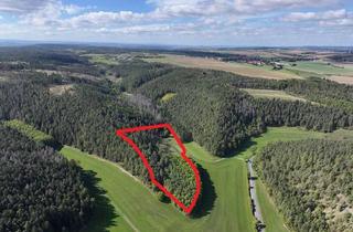 Gewerbeimmobilie kaufen in 07407 Remda-Teichel, Waldfläche bestehend aus Laub- und Nadelbäumen sowie Grünland (ca. 3,6 ha) bei Rudolstadt