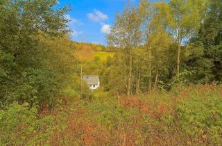 Grundstück zu kaufen in 59955 Winterberg, Attraktives Hanggrundstück mit Panoramablick in Winterberg-Silbach
