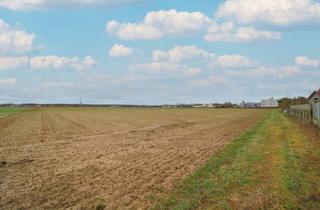 Grundstück zu kaufen in 76870 Kandel, Investitionschance: Großes Bauerwartungsland in Kandel mit ca. 27.743 m² Fläche