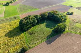 Immobilie kaufen in 35075 Gladenbach, Zwei nahegelegene Landwirtschaftsgrundstücke in Diedenshausen
