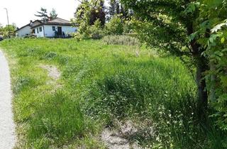 Immobilie kaufen in 95239 Zell, Attraktives Baugrundstück in Zell – Ihre Chance auf Wohnträume!