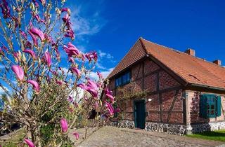 Doppelhaushälfte kaufen in 17166 Teterow, Teterow - Haushälfte Fachwerkhaus