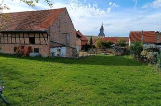 Bauernhaus kaufen in 38315 Schladen, Schladen-Werla - Resthof Bauernhof Landwirtschaft Landhaus