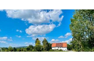 Einfamilienhaus kaufen in 31737 Rinteln, Rinteln - Einfamilienhaus freistehend mit ELW ca.3065m2Grundstueck