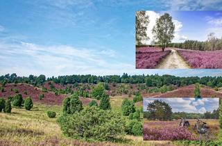 Haus kaufen in 29328 Faßberg, Faßberg - Betreutes Wohnen in Faßberg direkt in der Lüneburger Heide