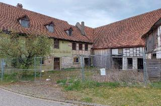 Haus kaufen in 91478 Markt Nordheim, Markt Nordheim - Denkmalgeschützter Dreiseithof mit Gasthaus in Markt Nordheim