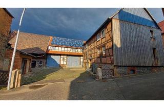 Bauernhaus kaufen in 34621 Frielendorf, Frielendorf - Bauernhof mit 2 Familienhaus