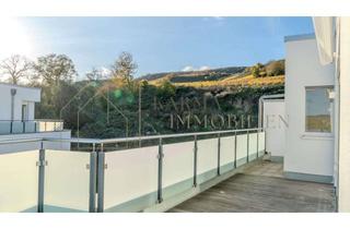 Penthouse kaufen in 55424 Münster-Sarmsheim, Exklusives Penthouse mit Panoramablick über das Nahetal