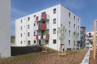 Wohnung mieten in Wegedornstraße 121, 12524 Altglienicke, Neubauwohnung in Zweitvermietung - nur mit Wohnberechtigungsschein für 2 Zimmer.