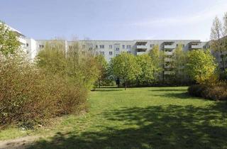 Wohnung mieten in Wittenberger Straße 57, 12689 Marzahn, 1 Zimmer Wohnung - ohne Balkon