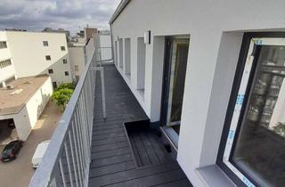 Wohnung mieten in Untermauerstr. 49, 47051 Altstadt, Neubau Erstbezug!