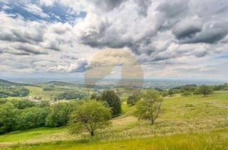 Grundstück zu kaufen in 77887 Sasbachwalden, ? Seltenes Traumgrundstück in Sasbachwalden – mit Panoramablick über die Rheinebene!