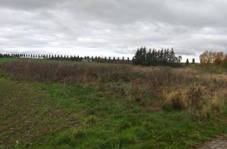 Grundstück zu kaufen in Loitzer Strasse 3C, 18516 Süderholz, von Privat! 2.270m2 Bau-Grundstück bei Greifswald / Ostsee