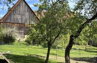 Bauernhaus kaufen in 91462 Dachsbach, Charmantes Bauernhaus im Dornröschenschlaf mit großem Garten in Dachsbach