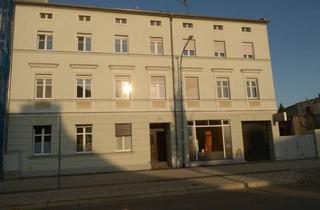 Haus kaufen in 03149 Forst, MFH (prov. frei, zentral) mit 338 m² Wohn-, 369 m² Gewerb- u. 2222 m² Grundfläche, großes Potential