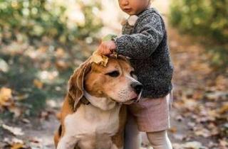 Villa kaufen in 31020 Salzhemmendorf, **Erleben Sie die Kunst des Wohnens: Exklusive Villa als Ausdruck Ihrer Persönlichkeit mit Klinkerak