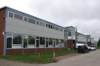 Büro zu mieten in Fallersleber Straße 12, 38154 Königslutter, Lager- oder Bürofläche im EG und 1.OG