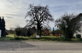 Grundstück zu kaufen in Bergseestraße 12, 76547 Sinzheim, Baugrundstück mit angrenzender landwirtschaftlicher Fläche