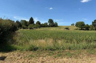 Grundstück zu kaufen in 63457 Hanau, Voll erschlossenes Gewerbegrundstück in exponierter Lage