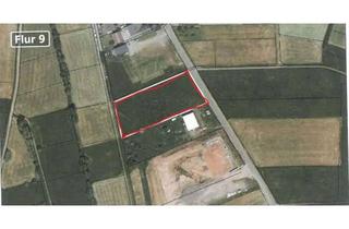 Grundstück zu kaufen in 63633 Birstein, Gewerbegrundstück OT Mauswinkel