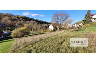 Grundstück zu kaufen in 97947 Grünsfeld, Sonniges Grundstück in ruhiger Ortslage von Grünsfeld-Hausen!