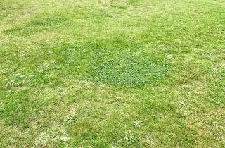 Grundstück zu kaufen in 64546 Mörfelden-Walldorf, Grundstück im Grünen von Privat