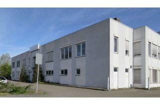 Büro zu mieten in Rockwellstraße, 38518 Gifhorn, Attraktive Bürofläche zu vermieten