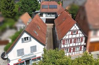 Lager kaufen in 76870 Kandel, Wohn- und Gewerbeanwesen mit 4 Wohnungen, 1 Laden, 1 Halle, Garten