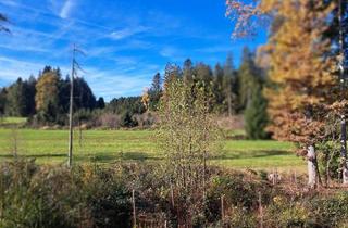 Immobilie kaufen in 83123 Amerang, Mischwald jetzt kaufen die Kinder und Enkelkinder ernten dann Setzen Sie den ökologischen Fußabdruck