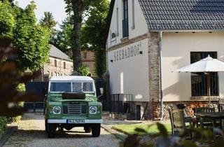 Wohnung kaufen in Seebadallee 20, 15834 Rangsdorf, SEEBADHOF® Exklusives sonniges Dachstudio - einzigartig – 250m vom Rangsdorfer See – Privatverkauf