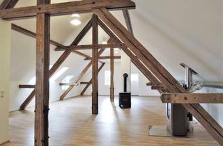 Lofts mieten in 55234 Bechtolsheim, Außergewöhnliches Loft mit riesiger Dachterrasse sucht passenden Bewohner!