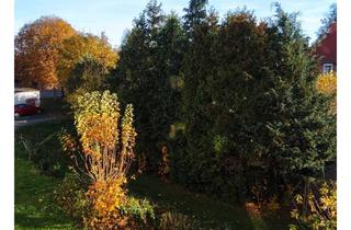 Wohnung mieten in Straße Der Jugend, 19230 Hagenow, Sehr gepflegte 4-Zimmer Wohnung in toller Hausgemeinschaft zu vermieten