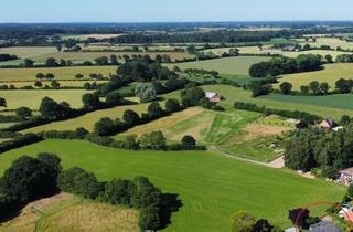Einfamilienhaus kaufen in 24214 Schinkel, Schinkel, Einfamilienhaus mit 2 Garagen in Feldrandlage
