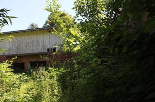 Grundstück zu kaufen in 21737 Wischhafen, Großzügiges Grundstück mit Entwicklungspotenzial in Wischhafen-Hamelwörden