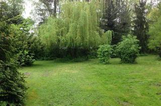 Grundstück zu kaufen in 67454 Haßloch, Großes Grundstück oder 6 einzelne für z. B. Reihenhäuser / Tinhyouses (450-3000 qm)