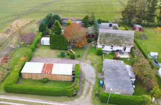 Haus kaufen in 18528 Sehlen, Ihr Familienparadies im Herzen von Rügen: 2 herrliche Reetdachhäuser auf weitläufigem Grundstück