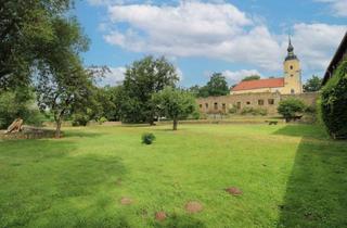 Haus kaufen in 04808 Wurzen, Historische Gelegenheit mit vielfältigen Möglichkeiten: Rittergut mit Schlossgarten und Wohnhaus