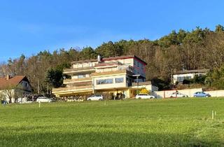 Penthouse kaufen in 64753 Brombachtal, Brombachtal - Penthouse mit sensationellem Blick