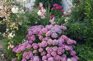 Haus kaufen in 71691 Freiberg, Freiberg am Neckar - sonnige,familienfreundliche DHH in FreibergN.
