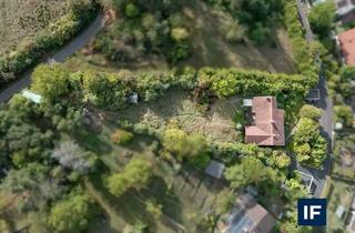 Einfamilienhaus kaufen in 97762 Hammelburg, Hammelburg - Einfamilienhaus