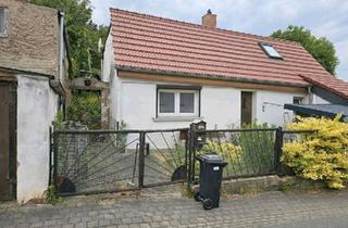 Einfamilienhaus kaufen in 04687 Trebsen, Trebsen/Mulde - Einfamilienhaus für geschickte Handwerker