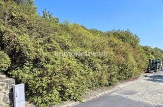 Grundstück zu kaufen in 97285 Röttingen, Attraktive Baugrundstücke in Röttingen